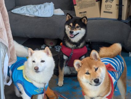 はじめまして！あらレン！です🥹