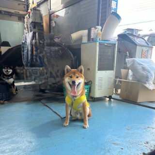 おでかけスポット📍