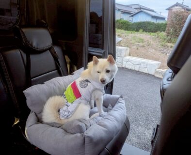 お車のご紹介🚗