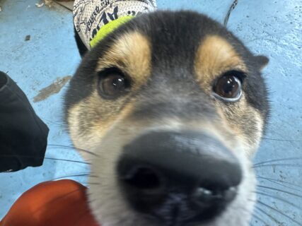 週の後半木曜日🌳