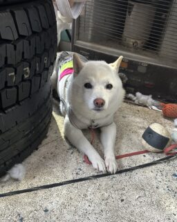 あらレン！のサービスについて📍