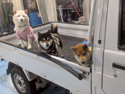 夏に行きたいおでかけスポット🏖️