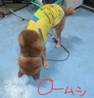 3連休スタート！