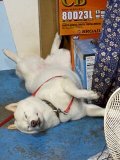 雨の日曜日☔️