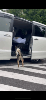 お車のご紹介🚗