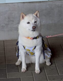 あらレン！のサービスについて📍