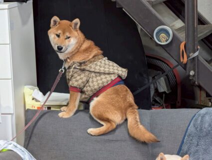 夏休みに行きたいおでかけスポット🐄