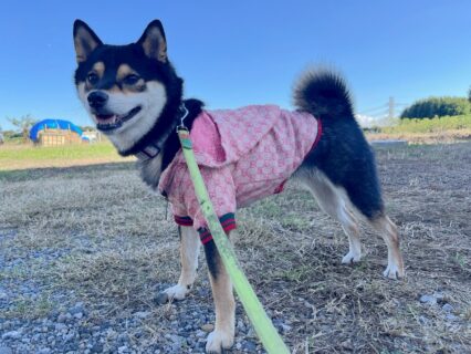 良い天気〜☀️