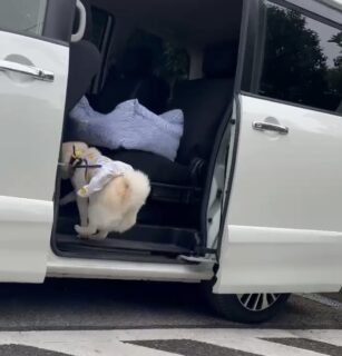 お車のご紹介🚗