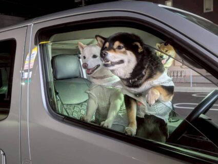 おでかけおでかけ♪