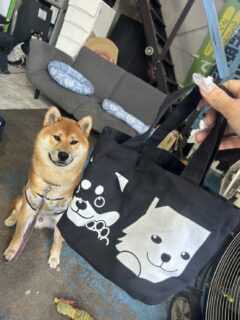 会員特典のご紹介🎁