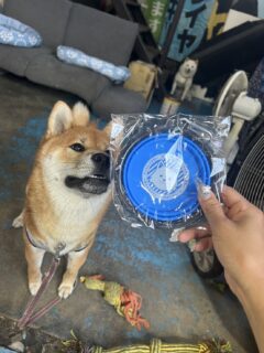 会員特典のご紹介🎁