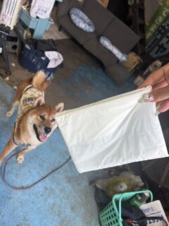 会員特典のご紹介🎁