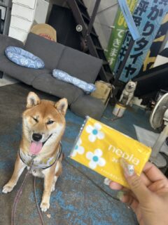 会員特典のご紹介🎁