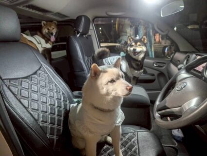 お車のご紹介🚗