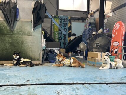 ペットレンタカーⓇとは