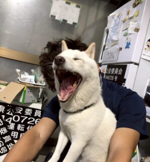 ねむねむみぞれさん