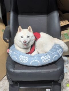 あらレン！のサービスについて💡