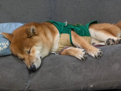 今週もお疲れさまでした🌹