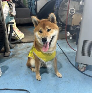 おでかけスポット🚗