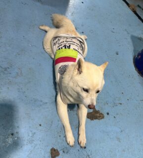 3連休スタート🎈