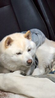 あらレン！のサービスについて📍