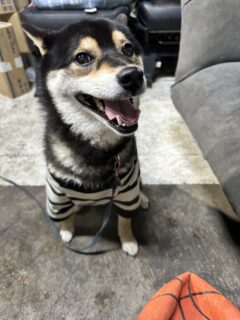 あらレン！のサービスについて📍