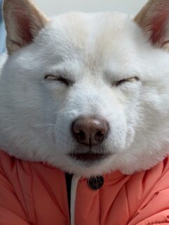 おでかけスポット🚗