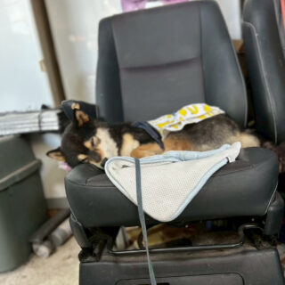 おでかけスポット📍