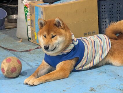 おでかけスポット💐