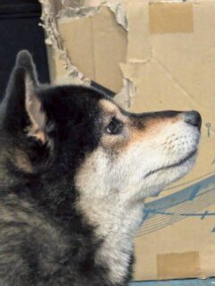 10月最初の週末！