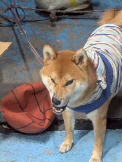 おでかけスポット📍