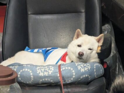 3連休スタート💨