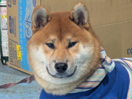 週の後半木曜日🌳