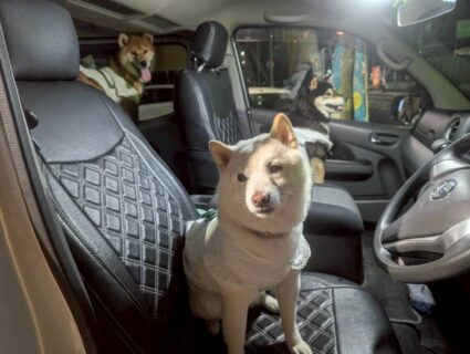 おでかけスポット📍