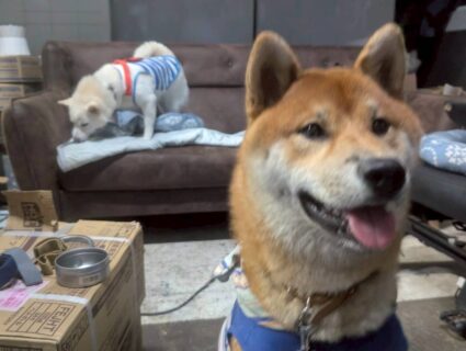 お車のご紹介🚗