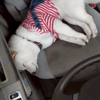 レンタカーイメージ写真📷