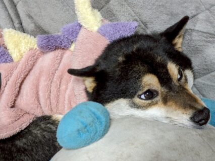 あられちゃんオフショット📷