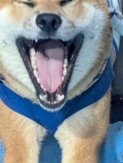 おすすめおでかけスポット📍