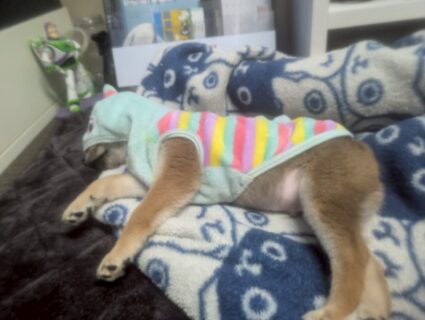 お車のご紹介🚗