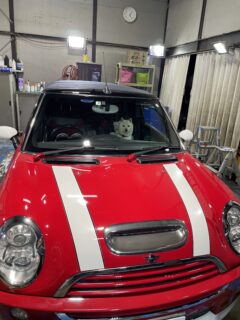 おうち帰ろう🐾