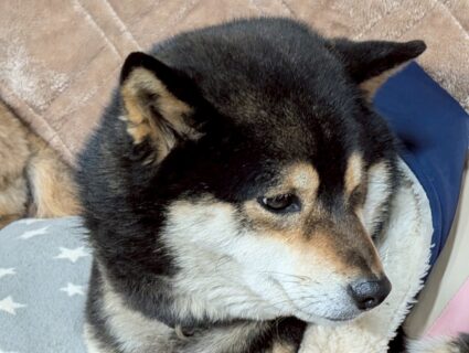 おすすめおでかけスポット📍