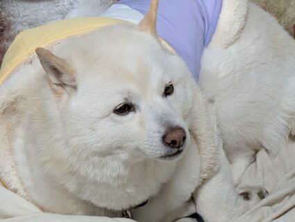 冬が近づいてますね