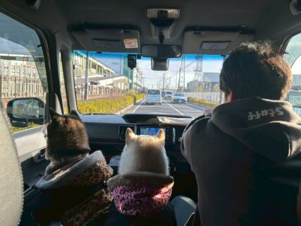 ペットレンタカーⓇとは