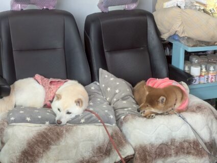 おすすめおでかけスポット📍