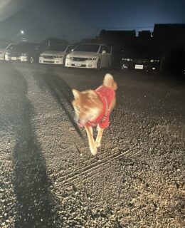 あらレン！のサービスについて💡