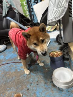 おすすめおでかけスポット📍