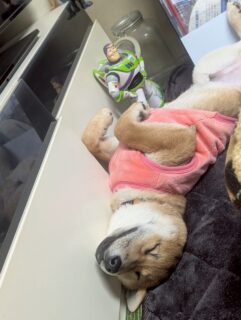 おすすめおでかけスポット📍