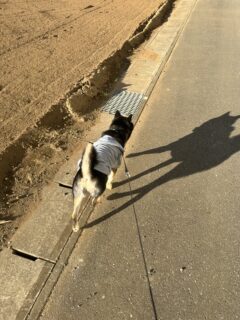 お車のご紹介🚗