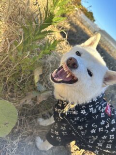 みぞれさん衝撃ショット🐾